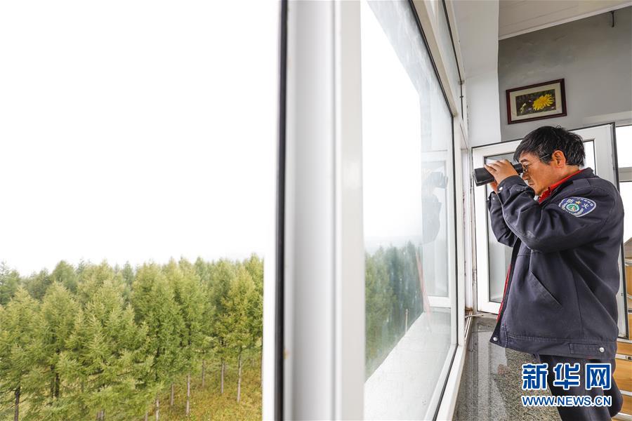 （新華全媒頭條&middot;圖文互動）（3）那一抹綠色，走進(jìn)越來越多人心里&mdash;&mdash;河北塞罕壩續(xù)寫新時代綠色傳奇
