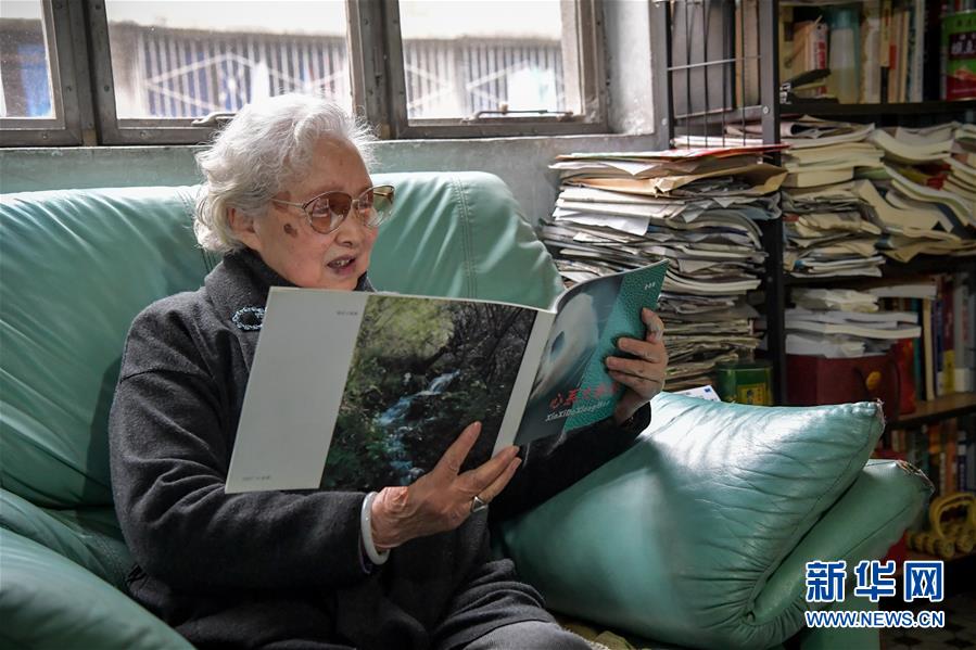 (圖文互動(dòng))(1)“熊貓小姐”金勖琪:我與世界級(jí)萌寵的不解緣