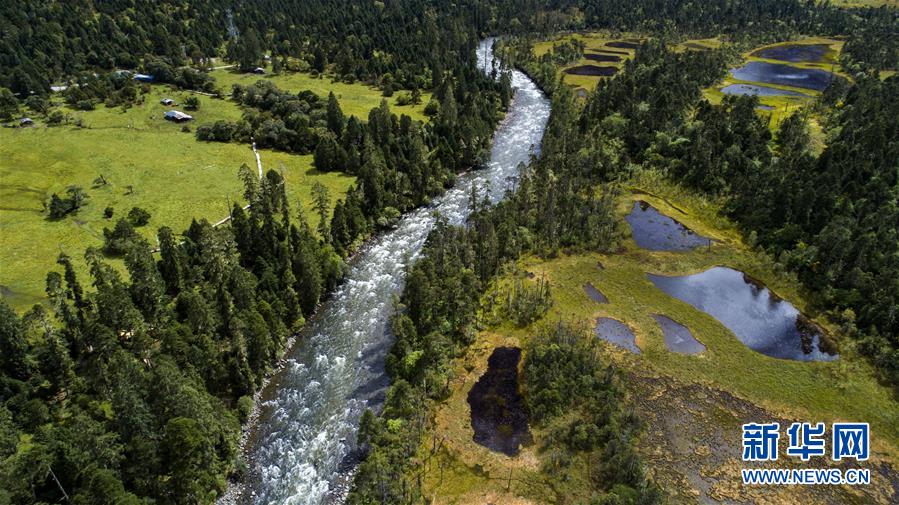 (百城百縣百企調(diào)研行·圖文互動(dòng))(1)西藏米林縣的綠色富裕路