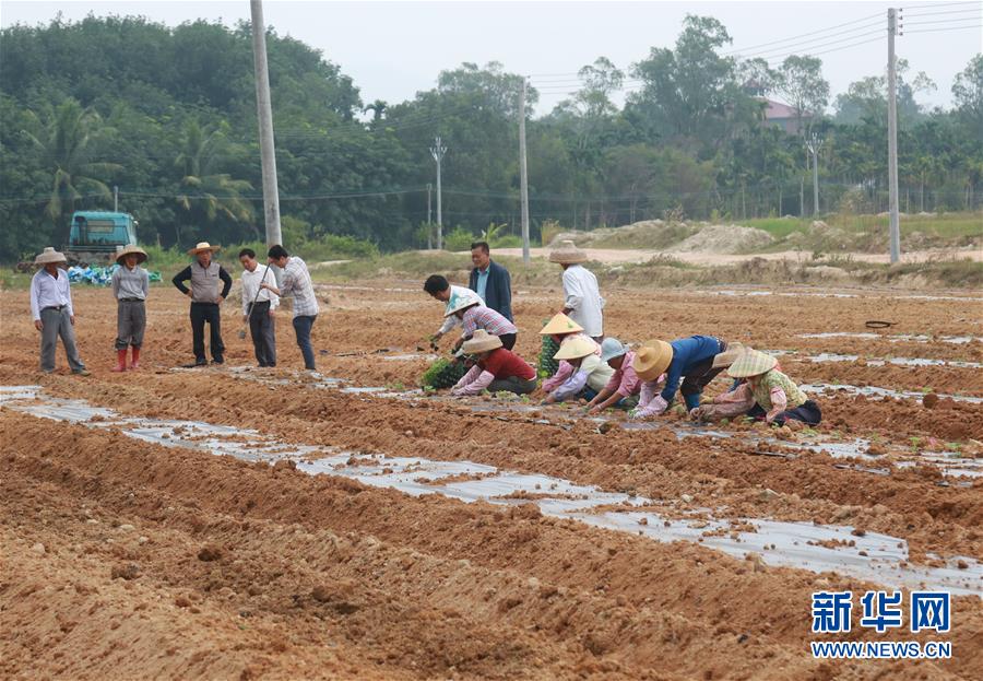 （新華視點(diǎn)&middot;回望2018&middot;圖文互動(dòng)）（7）2018年新華社曝光多起破壞生態(tài)事件，記者年底追訪發(fā)現(xiàn)&hellip;&hellip;