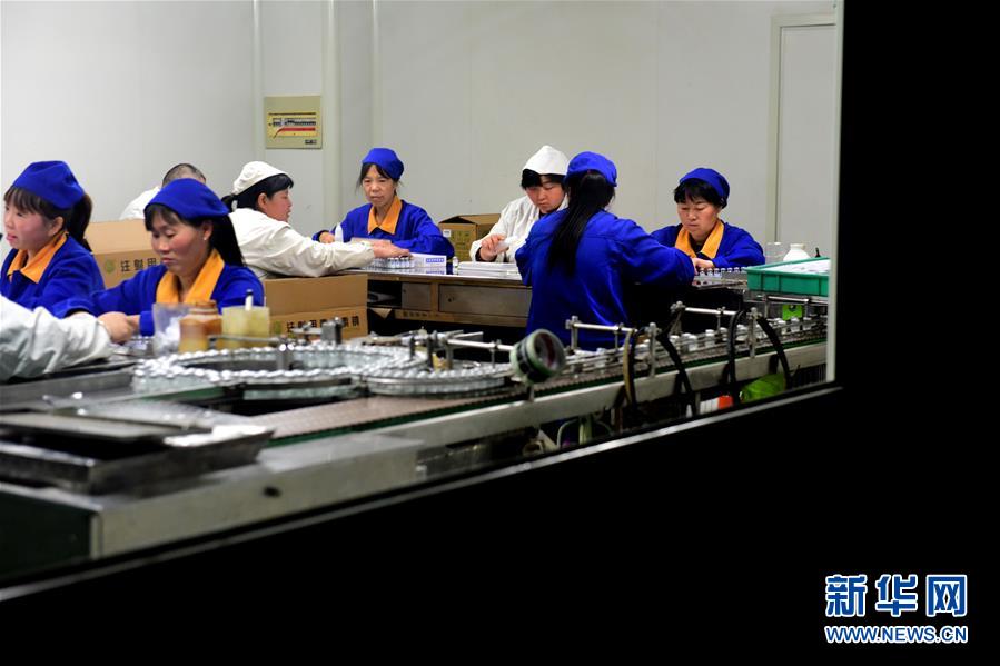 （慶祝改革開放40周年基層行&middot;村莊篇&middot;圖文互動）（4）走向更高質(zhì)量發(fā)展&mdash;&mdash;劉莊的40年&ldquo;幸福路&rdquo;