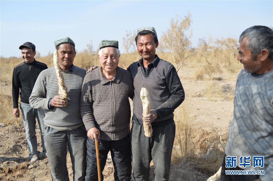 （圖文互動(dòng)）（3）&ldquo;劉紅柳&rdquo;，一輩子大漠扎根種樹(shù)