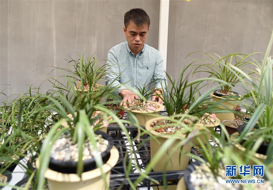 (圖文互動)(6)建設好生態(tài)宜居的美麗鄉(xiāng)村——從“千萬工程”看習近平生態(tài)文明思想的生動實踐和世界回響