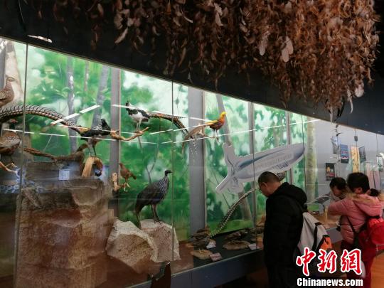 圖為展覽現(xiàn)場?！『h航 攝