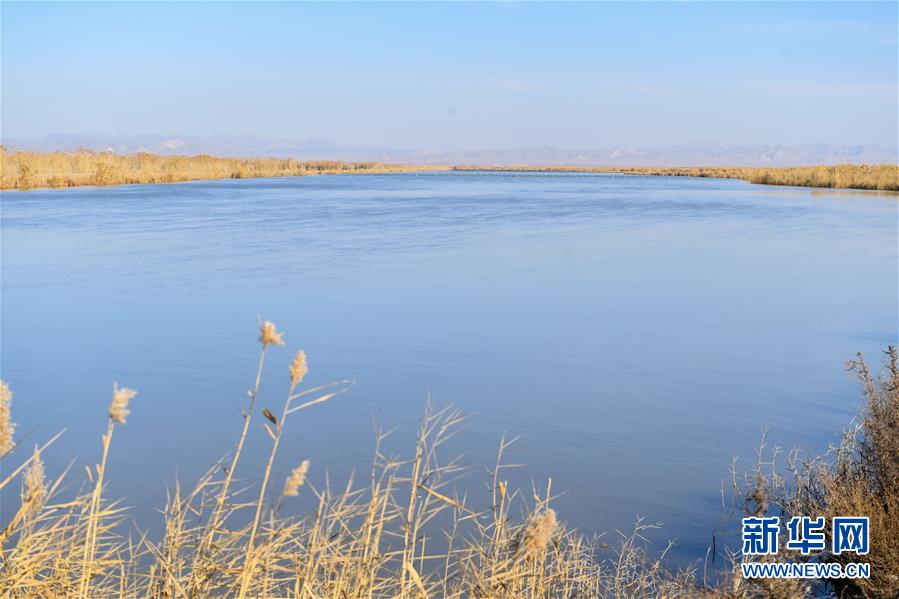 (在習(xí)近平新時(shí)代中國特色社會主義思想指引下——新時(shí)代新作為新篇章·圖文互動)(1)打響綠色品牌 “四控”治污增效——內(nèi)蒙古巴彥淖爾探索農(nóng)業(yè)高質(zhì)量發(fā)展