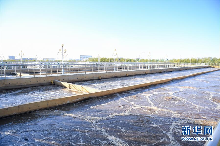 (在習(xí)近平新時(shí)代中國特色社會主義思想指引下——新時(shí)代新作為新篇章·圖文互動)(2)打響綠色品牌 “四控”治污增效——內(nèi)蒙古巴彥淖爾探索農(nóng)業(yè)高質(zhì)量發(fā)展