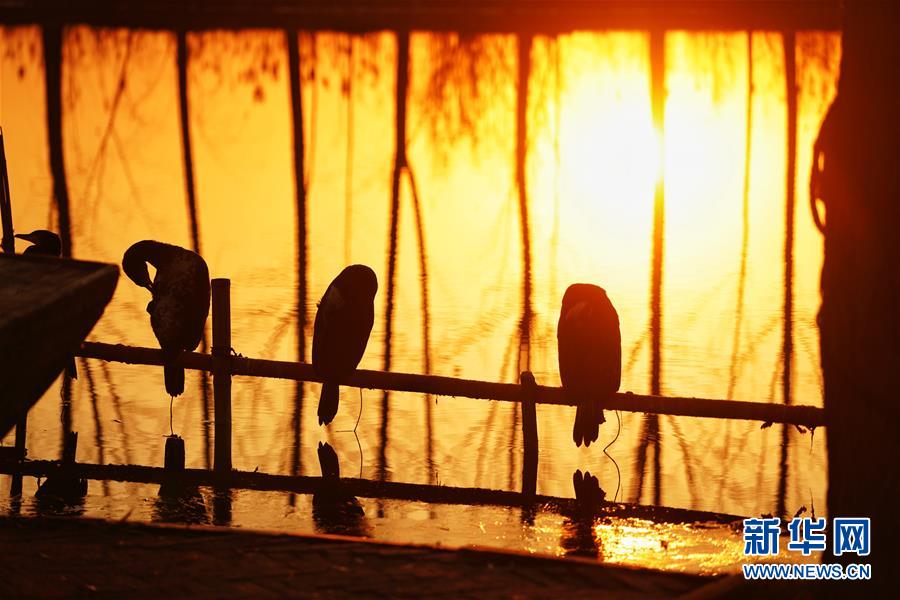 （新華全媒頭條&middot;圖文互動(dòng)）（8）&ldquo;雄安大計(jì)&rdquo;躍然紙上 &ldquo;未來之城&rdquo;呼之欲出&mdash;&mdash;《河北雄安新區(qū)總體規(guī)劃》解讀