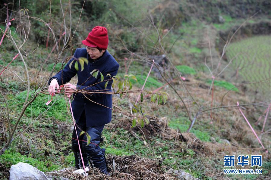 (圖文互動(dòng))(3)平靜而充滿(mǎn)力量——“中國(guó)網(wǎng)事·感動(dòng)2018”年度網(wǎng)絡(luò)人物群像