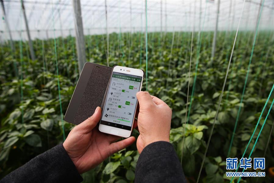 （新華全媒頭條&middot;圖文互動(dòng)）（8）聚焦高質(zhì)量，躍上新臺(tái)階&mdash;&mdash;新年開局看中國經(jīng)濟(jì)信心和潛力