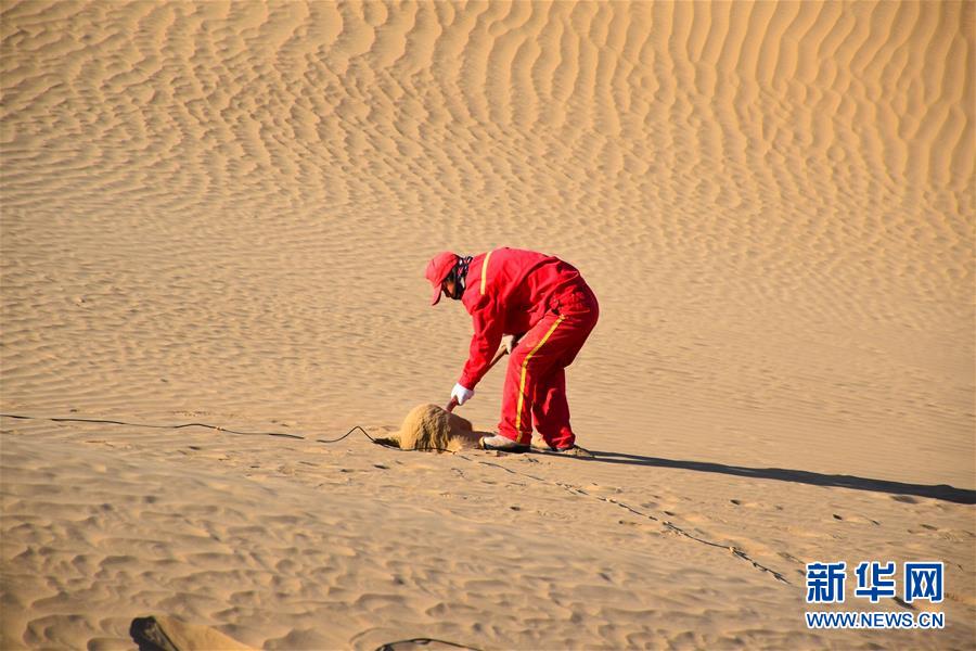 (新春走基層·圖文互動(dòng))(3)走進(jìn)塔克拉瑪干:探訪沙漠物探人