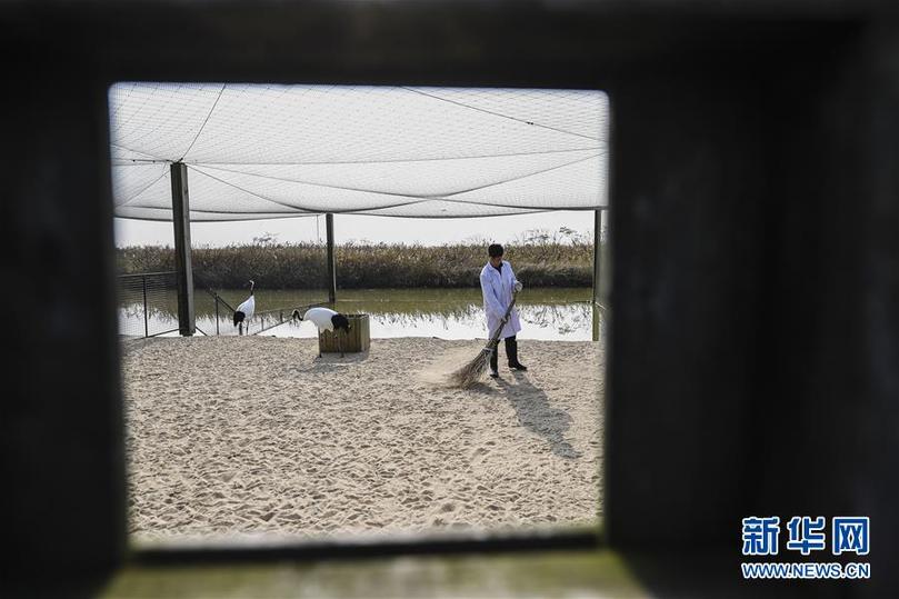 (兩會前夕看落實(shí)·圖文互動)(3)綠色發(fā)展引領(lǐng) 守護(hù)“魚米之鄉(xiāng)”——江蘇落實(shí)習(xí)近平總書記全國兩會重要講話精神紀(jì)實(shí)