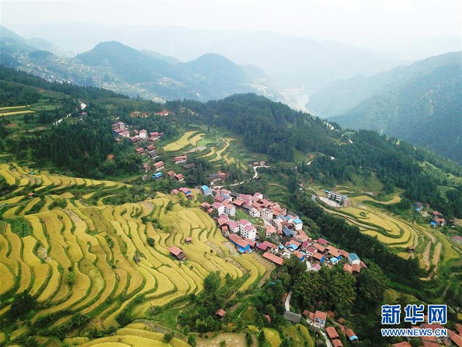 (兩會(huì)前夕看落實(shí)·圖文互動(dòng))(6)決戰(zhàn)脫貧攻堅(jiān) 奮力后發(fā)趕超——貴州落實(shí)習(xí)近平總書(shū)記全國(guó)兩會(huì)重要講話(huà)精神紀(jì)實(shí)