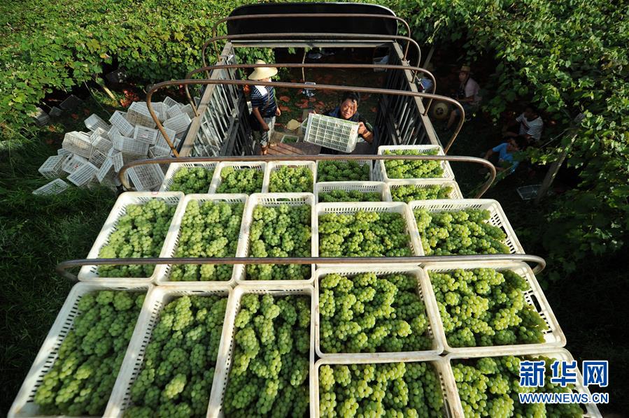 (兩會(huì)前夕看落實(shí)·圖文互動(dòng))(7)決戰(zhàn)脫貧攻堅(jiān) 奮力后發(fā)趕超——貴州落實(shí)習(xí)近平總書(shū)記全國(guó)兩會(huì)重要講話(huà)精神紀(jì)實(shí)