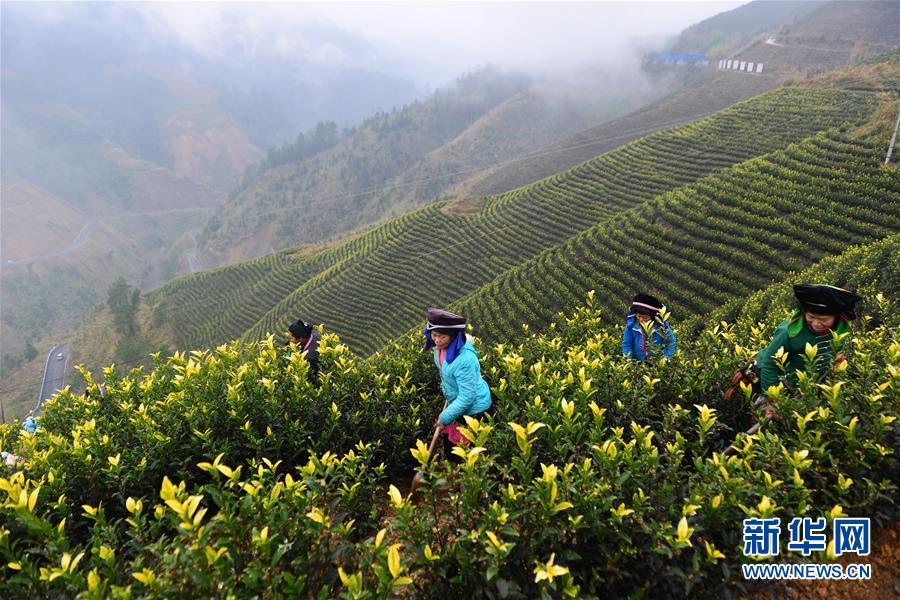 (兩會(huì)前夕看落實(shí)·圖文互動(dòng))(8)決戰(zhàn)脫貧攻堅(jiān) 奮力后發(fā)趕超——貴州落實(shí)習(xí)近平總書(shū)記全國(guó)兩會(huì)重要講話(huà)精神紀(jì)實(shí)