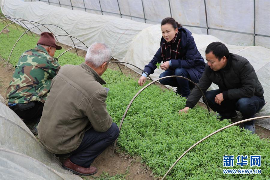 (兩會前夕看落實(shí)·圖文互動)(1)奮力脫貧攻堅 生態(tài)追“清”逐“綠”——江西落實(shí)習(xí)近平總書記全國兩會重要講話精神紀(jì)實(shí)