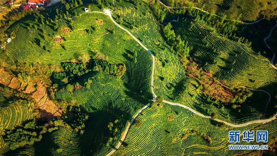 (兩會前夕看落實(shí)·圖文互動)(5)奮力脫貧攻堅 生態(tài)追“清”逐“綠”——江西落實(shí)習(xí)近平總書記全國兩會重要講話精神紀(jì)實(shí)