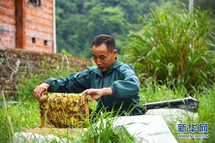 (兩會前夕看落實(shí)·圖文互動)(7)奮力脫貧攻堅 生態(tài)追“清”逐“綠”——江西落實(shí)習(xí)近平總書記全國兩會重要講話精神紀(jì)實(shí)