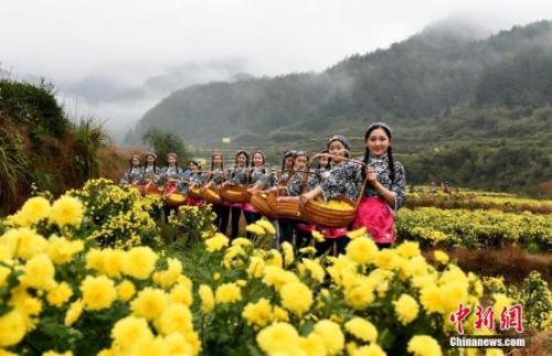 &ldquo;最中國(guó)美鄉(xiāng)村&rdquo;江西省婺源縣。胡敦煌 攝