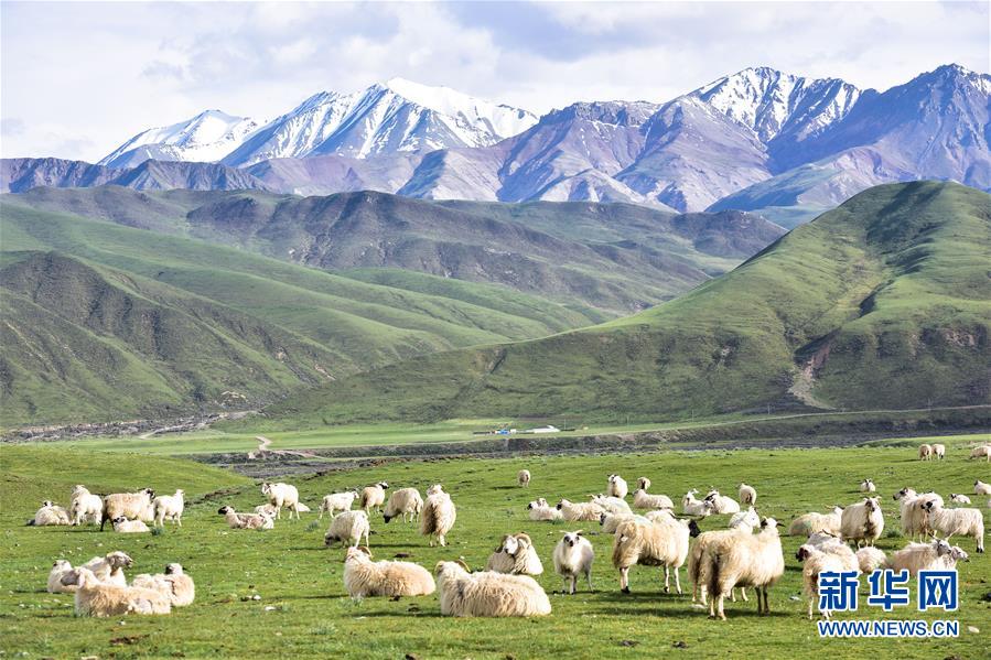 (兩會前夕看落實·圖文互動)(1)以“一優(yōu)兩高”戰(zhàn)略描繪三江源壯美畫卷——青海落實習近平總書記全國兩會重要講話精神紀實