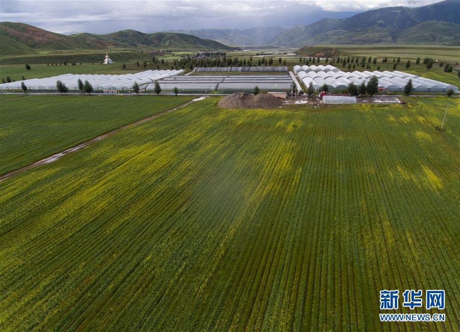 (兩會前夕看落實(shí)·圖文互動)(6)“飛針走線”“繡”出小康畫卷——四川落實(shí)習(xí)近平總書記全國兩會重要講話精神紀(jì)實(shí)