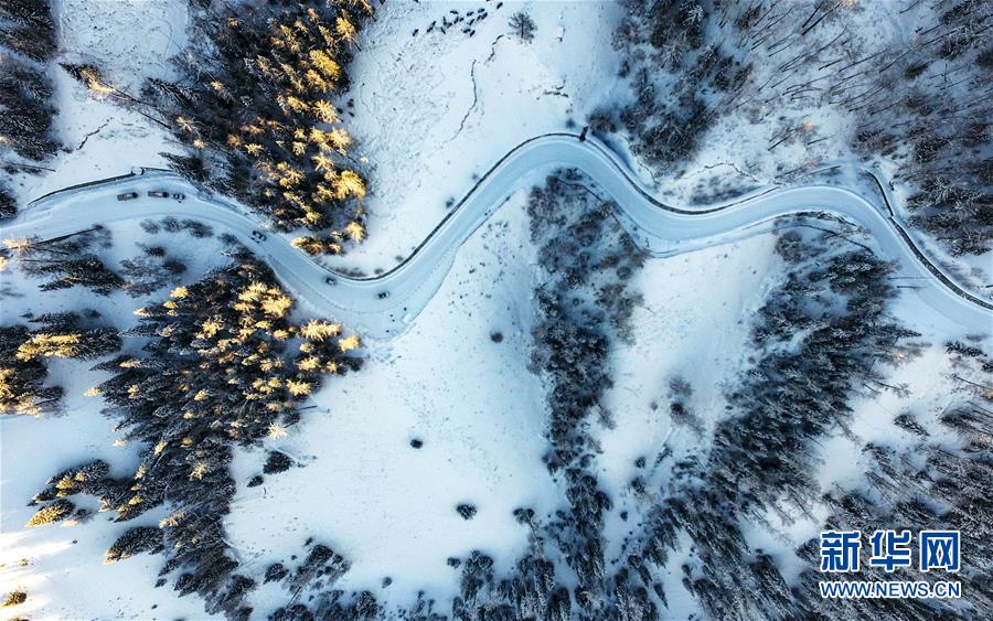 (兩會(huì)前夕看落實(shí)·圖文互動(dòng))(6)牢記囑托增進(jìn)民族團(tuán)結(jié) 凝心聚力建設(shè)美麗新疆——新疆落實(shí)習(xí)近平總書記全國兩會(huì)重要講話精神紀(jì)實(shí)