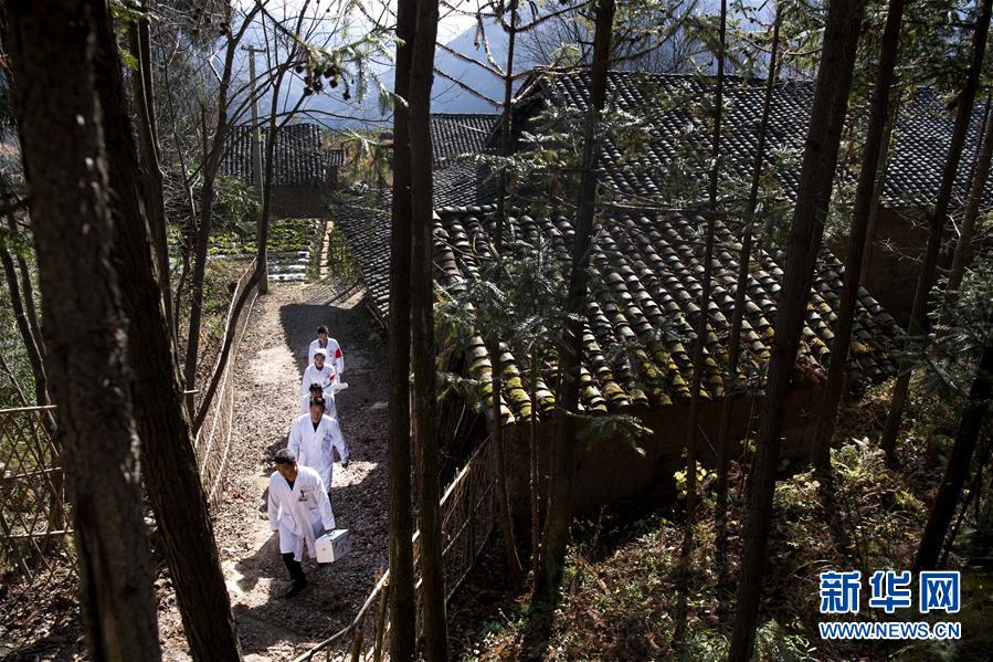 （新華全媒頭條&middot;圖文互動(dòng)）（6）承諾有&ldquo;干貨&rdquo; 落實(shí)有&ldquo;硬招&rdquo;&mdash;&mdash;&ldquo;全國兩會(huì)部長通道&rdquo;上承諾踐行情況掃描