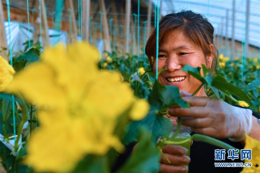 （兩會前夕看落實&middot;圖文互動）（4）融合&ldquo;三生三美&rdquo; 打造鄉(xiāng)村振興齊魯樣板&mdash;&mdash;山東落實習近平總書記全國兩會重要講話精神紀實