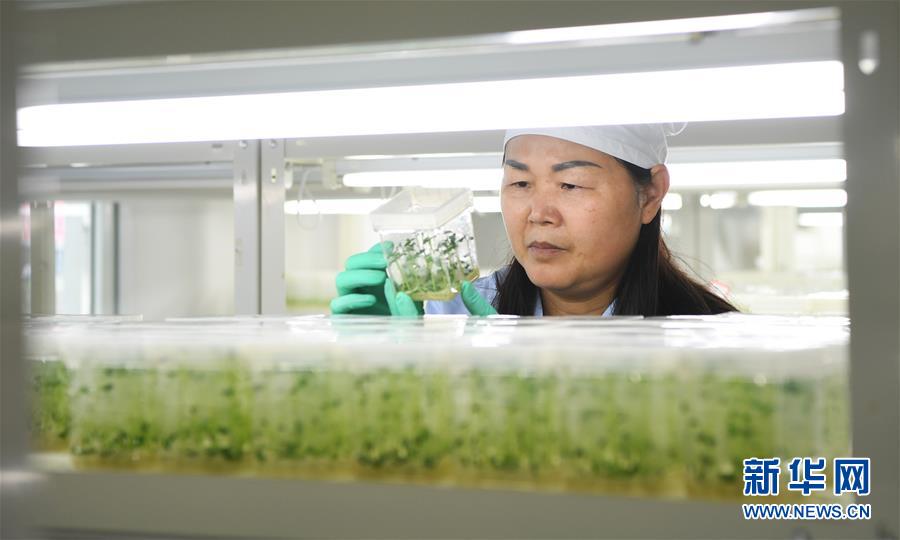 (兩會(huì)前夕看落實(shí)·圖文互動(dòng))(5)春風(fēng)涌動(dòng)兩江潮——重慶落實(shí)習(xí)近平總書記全國兩會(huì)重要講話精神紀(jì)實(shí)