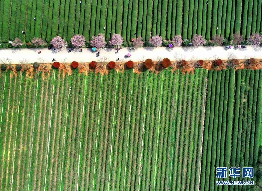 （新華全媒頭條&middot;兩會精神看落實(shí)&middot;圖文互動）（3）保持戰(zhàn)略定力 跨越重要關(guān)口&mdash;&mdash;落實(shí)兩會精神加強(qiáng)生態(tài)文明建設(shè)述評