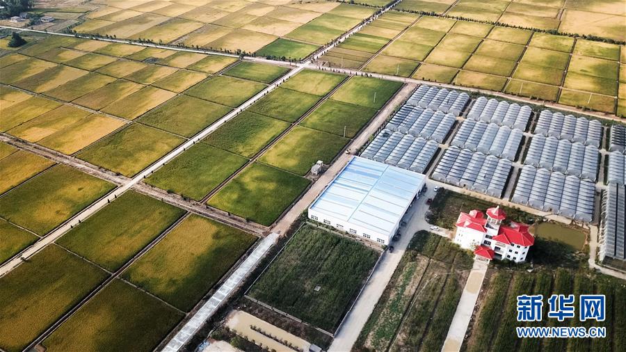 （新華全媒頭條&middot;愛(ài)國(guó)情 奮斗者&middot;圖文互動(dòng)）（8）一個(gè)村的奮斗，一個(gè)時(shí)代的巨變&mdash;&mdash;記敢&ldquo;蹚新路&rdquo;的小崗人