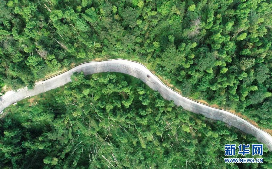 （中國網事&middot;感動2019&middot;圖文互動）（7）鄉(xiāng)村教師高自仁：60多根拐杖，撐起42年教學路