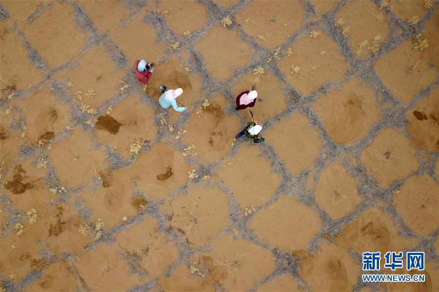 （新華全媒頭條&middot;圖文互動(dòng)）（2）八步沙&middot;六老漢&middot;三代人