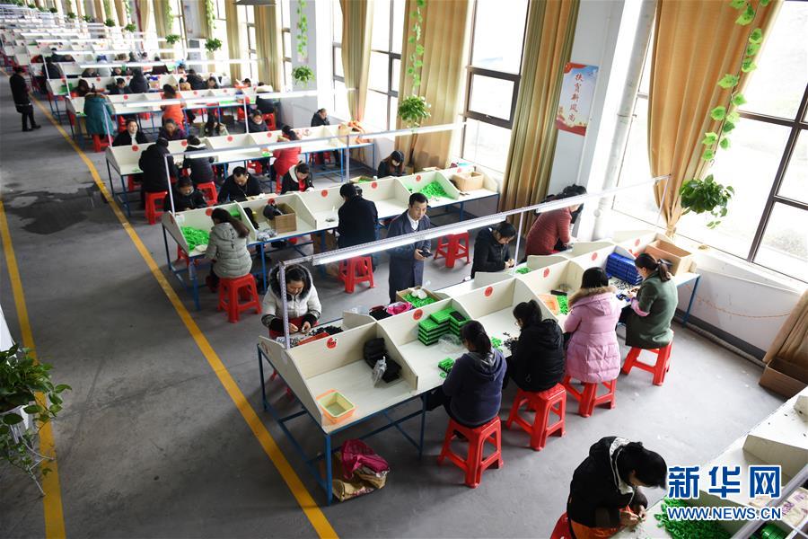 （在習(xí)近平新時(shí)代中國(guó)特色社會(huì)主義思想指引下&mdash;&mdash;新時(shí)代新作為新篇章&middot;圖文互動(dòng)）（5）&ldquo;搬遷到哪里，服務(wù)就延伸到哪里&rdquo;&mdash;&mdash;貴州推進(jìn)易地扶貧搬遷&ldquo;后半篇文章&rdquo; 