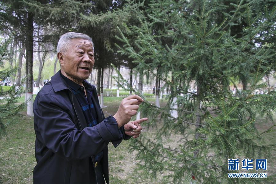 (壯麗70年·奮斗新時(shí)代·圖文互動)(5)記者蹲點(diǎn)手記:感受“戈壁明珠”嶄新容顏