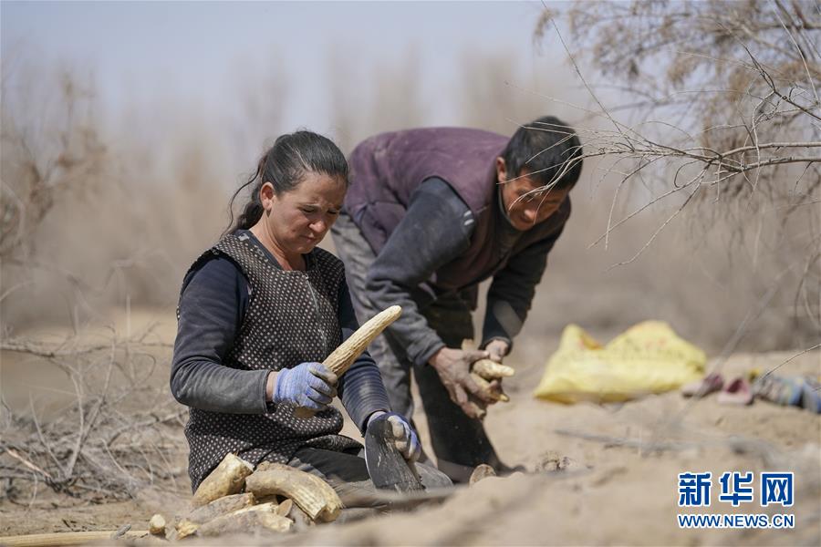 （新華全媒頭條&middot;圖文互動）（6）一步千年，&ldquo;最后的沙漠部落&rdquo;遷入新家園