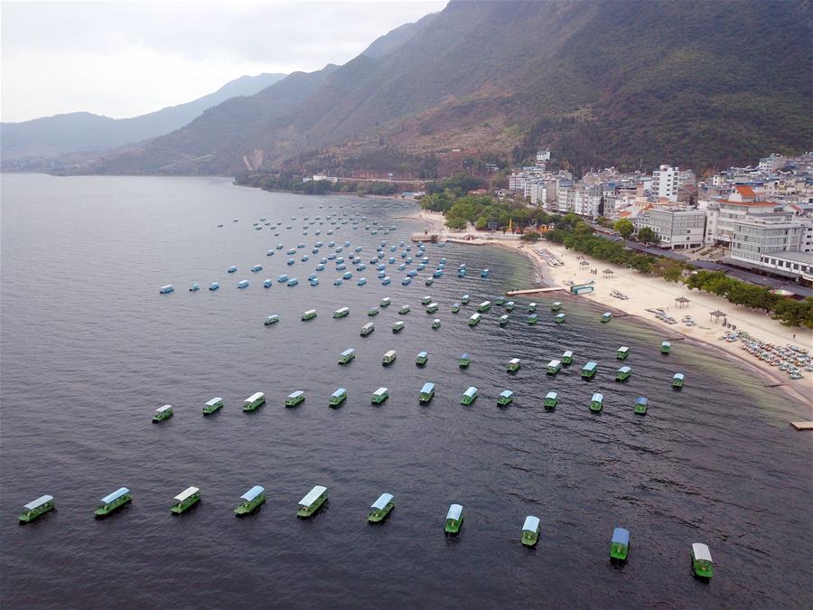 （新華全媒頭條&middot;北京世園會&middot;圖文互動）（14）建設(shè)美麗中國 共筑綠色家園&mdash;&mdash;寫在2019年中國北京世界園藝博覽會開幕之際