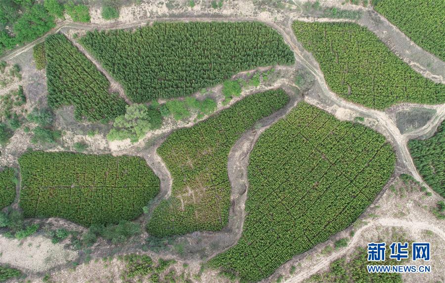 (新華全媒頭條·北京世園會·圖文互動)(8)共繪人類生態(tài)文明美麗畫卷——從北京世園會看中國綠色發(fā)展的“世界貢獻”