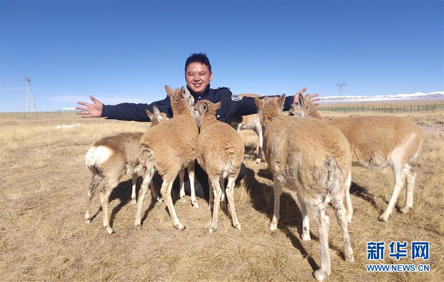 (愛國(guó)情 奮斗者)(1)藏族巡山隊(duì)員龍周才加:把青春留在可可西里