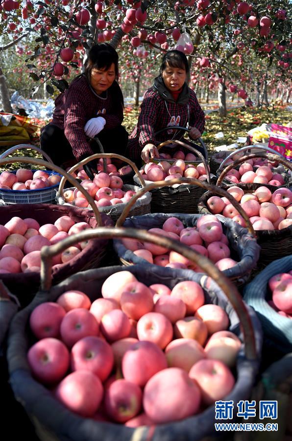 （新華全媒頭條&middot;圖文互動(dòng)）（10）春暉沐浴寶塔山&mdash;&mdash;寫在延安各縣整體脫貧摘帽之際