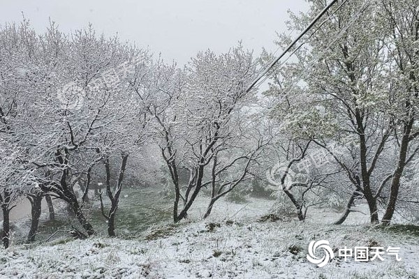 冷空氣要撤啦！今日全國(guó)降水整體弱 華南仍有強(qiáng)對(duì)流