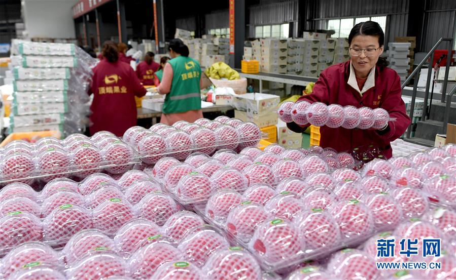 (新華全媒頭條·圖文互動(dòng))(2)追夢(mèng)在新時(shí)代的春天里——革命圣地延安告別絕對(duì)貧困巡禮