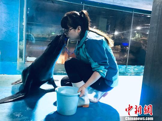 于雅麗與海獅親密瞬間?！“瑧c龍 攝