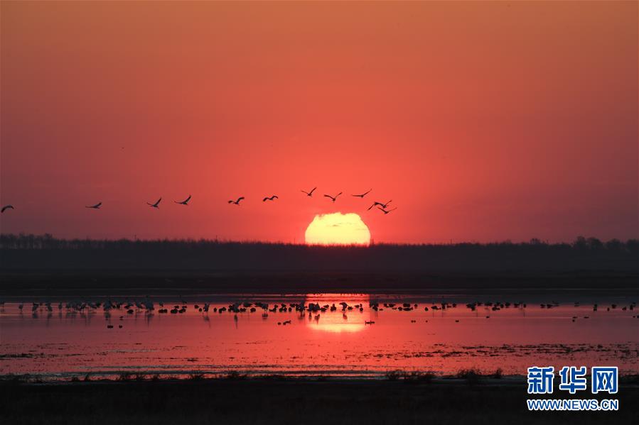 （北京世園會&middot;圖文互動）（3）吉林分區(qū)域推進(jìn)生態(tài)保護(hù) 讓綠色發(fā)展底氣更足