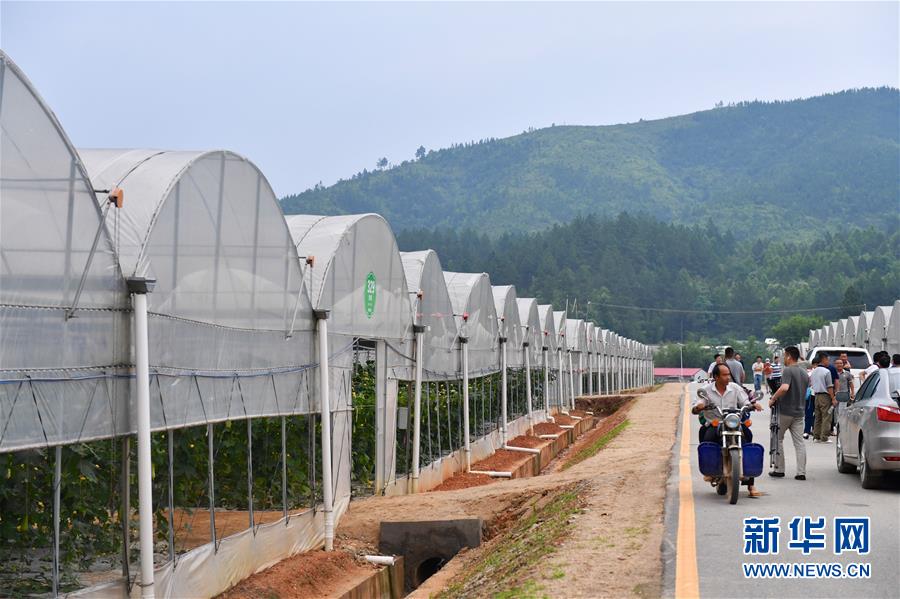 (新華全媒頭條·圖文互動(dòng))(6)奮力走好新時(shí)代的長(zhǎng)征路——習(xí)近平總書記考察江西回訪記