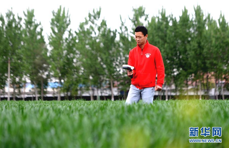 （新華全媒頭條&middot;愛(ài)國(guó)情 奮斗者&middot;圖文互動(dòng)）（5）把論文寫(xiě)在祖國(guó)的大地上&mdash;&mdash;中國(guó)農(nóng)業(yè)大學(xué)46年扎根河北曲周服務(wù)鄉(xiāng)村振興紀(jì)實(shí)