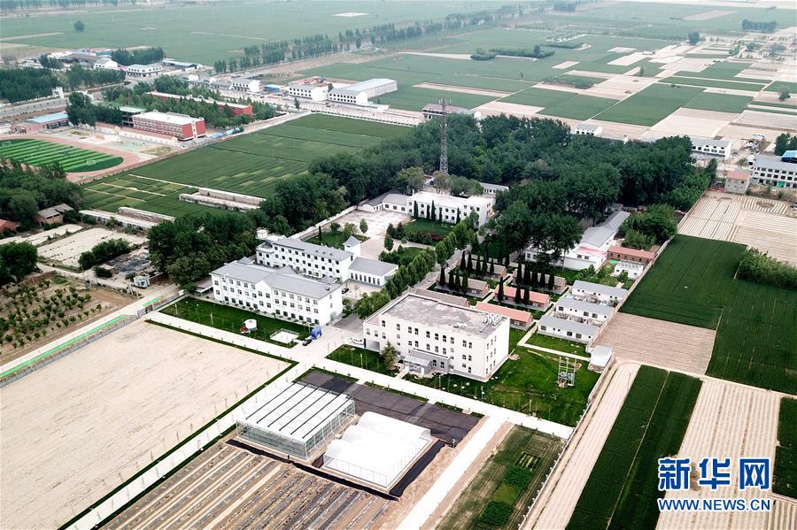 （新華全媒頭條&middot;愛(ài)國(guó)情 奮斗者&middot;圖文互動(dòng)）（12）把論文寫(xiě)在祖國(guó)的大地上&mdash;&mdash;中國(guó)農(nóng)業(yè)大學(xué)46年扎根河北曲周服務(wù)鄉(xiāng)村振興紀(jì)實(shí)