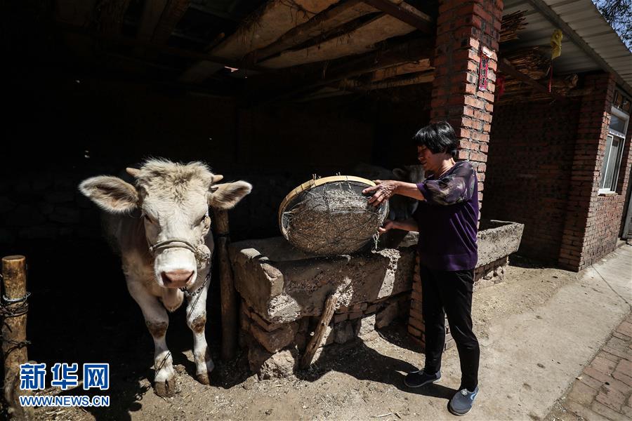 (圖文互動(dòng))(2)一條38年的生命通道:媽媽會(huì)一直把你當(dāng)作“雛鳥”