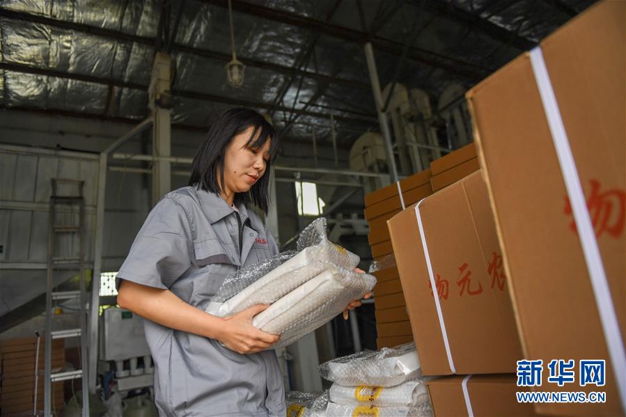 （在習(xí)近平新時(shí)代中國(guó)特色社會(huì)主義思想指引下&mdash;&mdash;新時(shí)代新作為新篇章&middot;圖文互動(dòng)）（6）大學(xué)生種田讓農(nóng)民&ldquo;老把式&rdquo;開(kāi)了眼&mdash;&mdash;吉林長(zhǎng)白山下的稻田新事