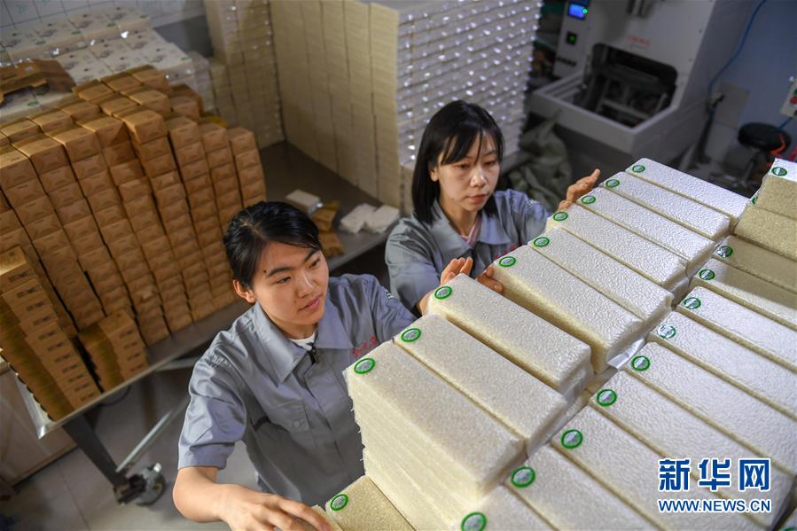 （在習(xí)近平新時(shí)代中國(guó)特色社會(huì)主義思想指引下&mdash;&mdash;新時(shí)代新作為新篇章&middot;圖文互動(dòng)）（7）大學(xué)生種田讓農(nóng)民&ldquo;老把式&rdquo;開(kāi)了眼&mdash;&mdash;吉林長(zhǎng)白山下的稻田新事