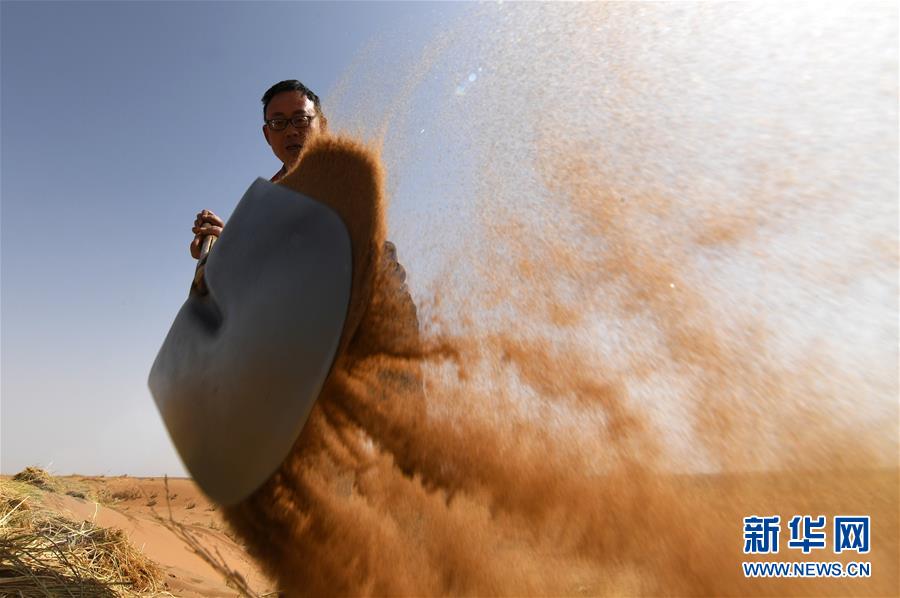 （權(quán)威訪談&middot;聚焦中國經(jīng)濟亮點&middot;圖文互動）（10）防治土地荒漠化 推動綠色發(fā)展&mdash;&mdash;專訪國家林業(yè)和草原局副局長劉東生